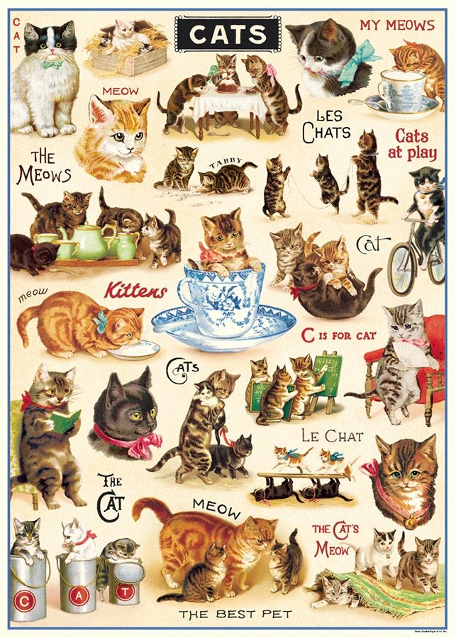 Vintage Cats 2 Poster  - 20” X 28” - #325