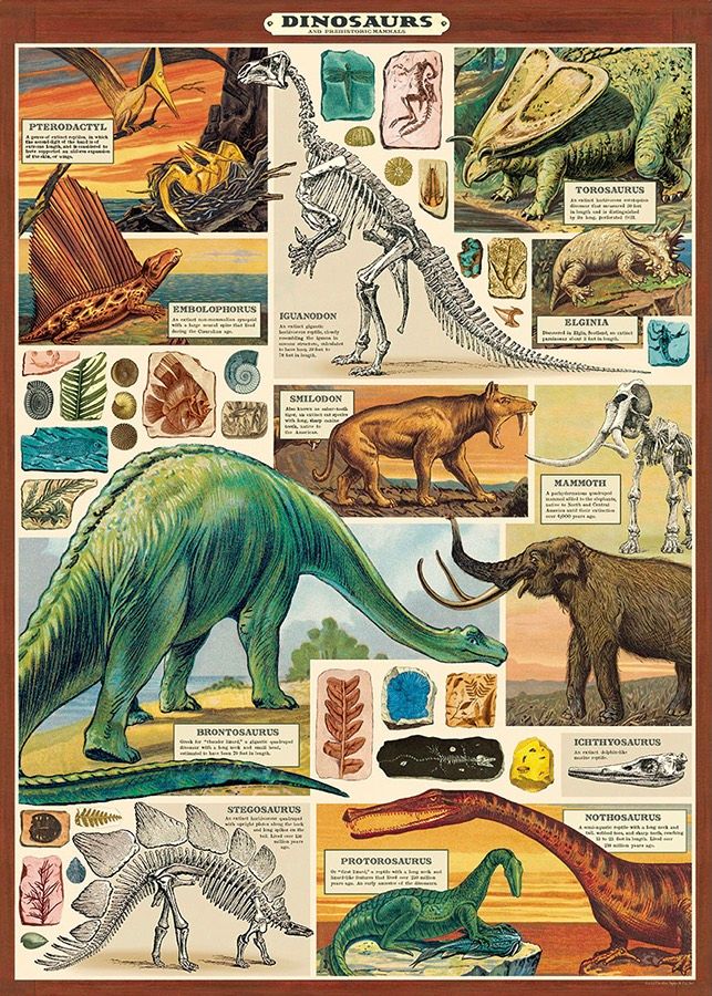 Dinosaurs 2 Poster  - 20” X 28” - #210