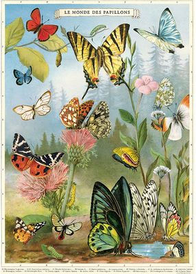 Butterflies Meadow Poster  - 20” X 28” - #313