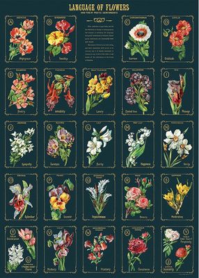Language of Flowers 2 Poster  - 20” X 28” - #113