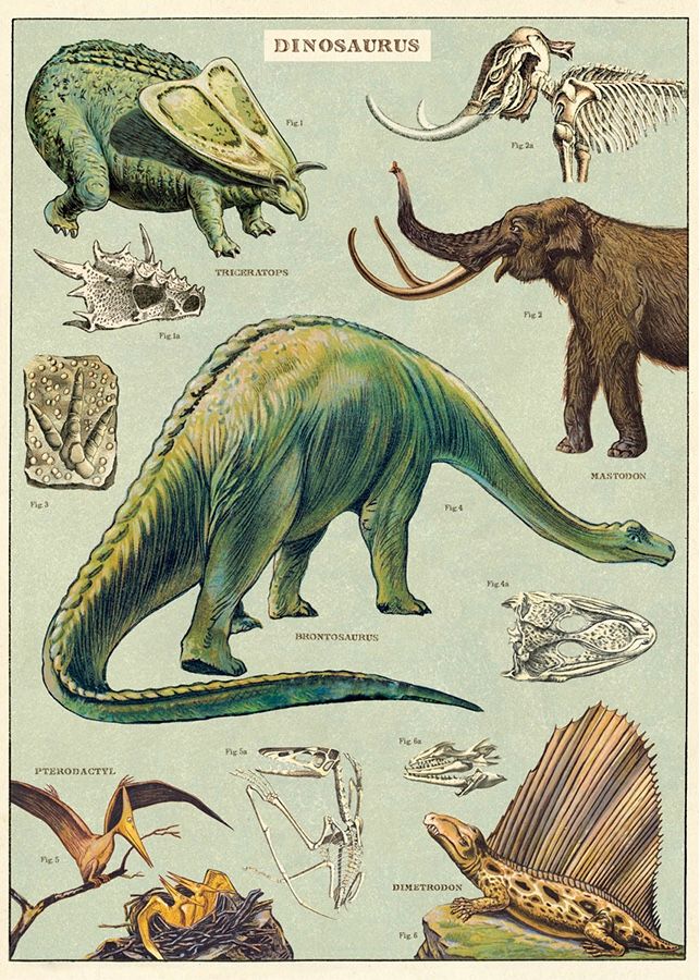Dinosaurs Poster  - 20” X 28” - #203