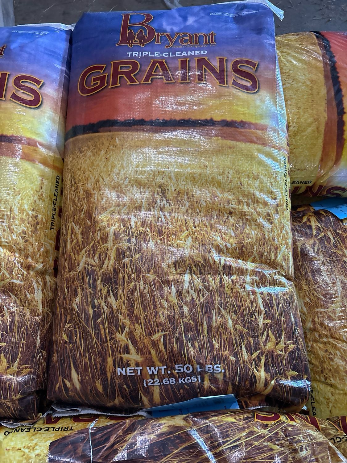 Bryant Wheat Whole 50lb 