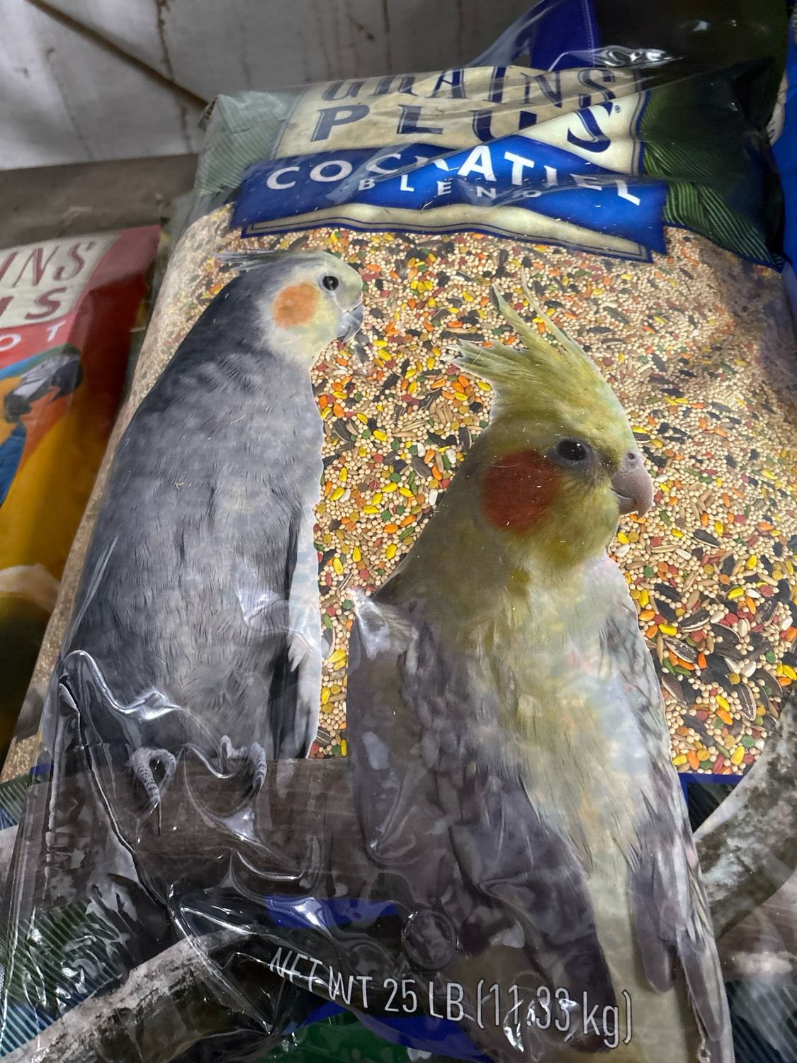 Brooks Cockatiel Plus 25lb
