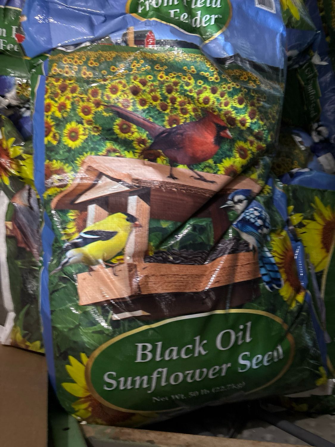 FFTF Black Oil Sunflower 50lb