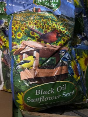FFTF Black Oil Sunflower 50lb
