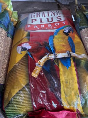 Brooks Parrot Plus 50lb
