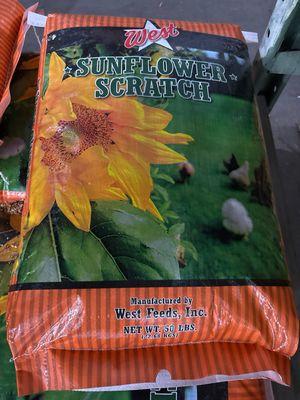 West Sunflower Scratch