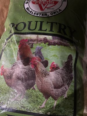 Big V Game Bird Breeder 