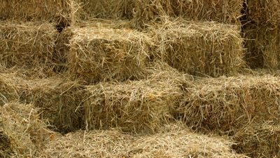 Barn and Stable