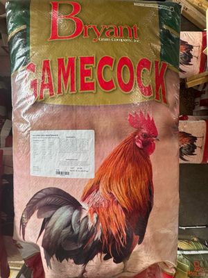 Bryant Gamecock Maint 14%