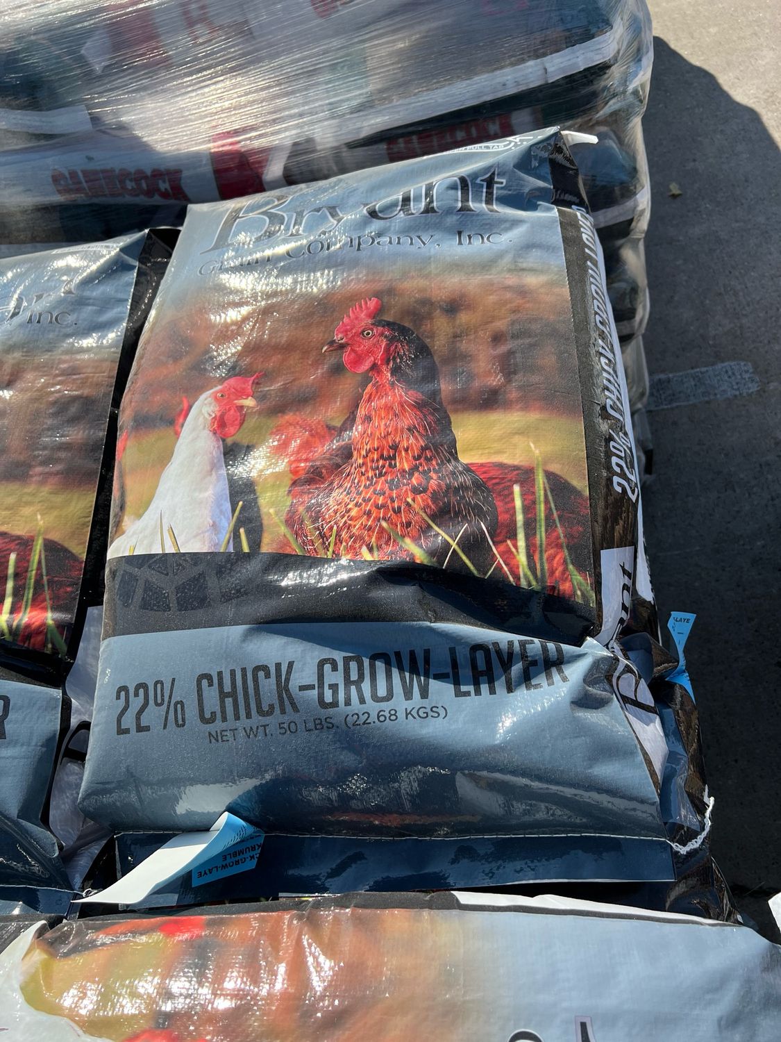 Bryant Chick Grow Lay 22% 50lb 