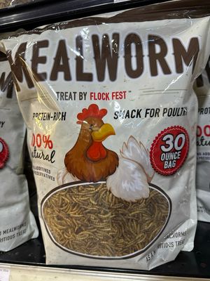 Flock Fest Mealworm 30oz