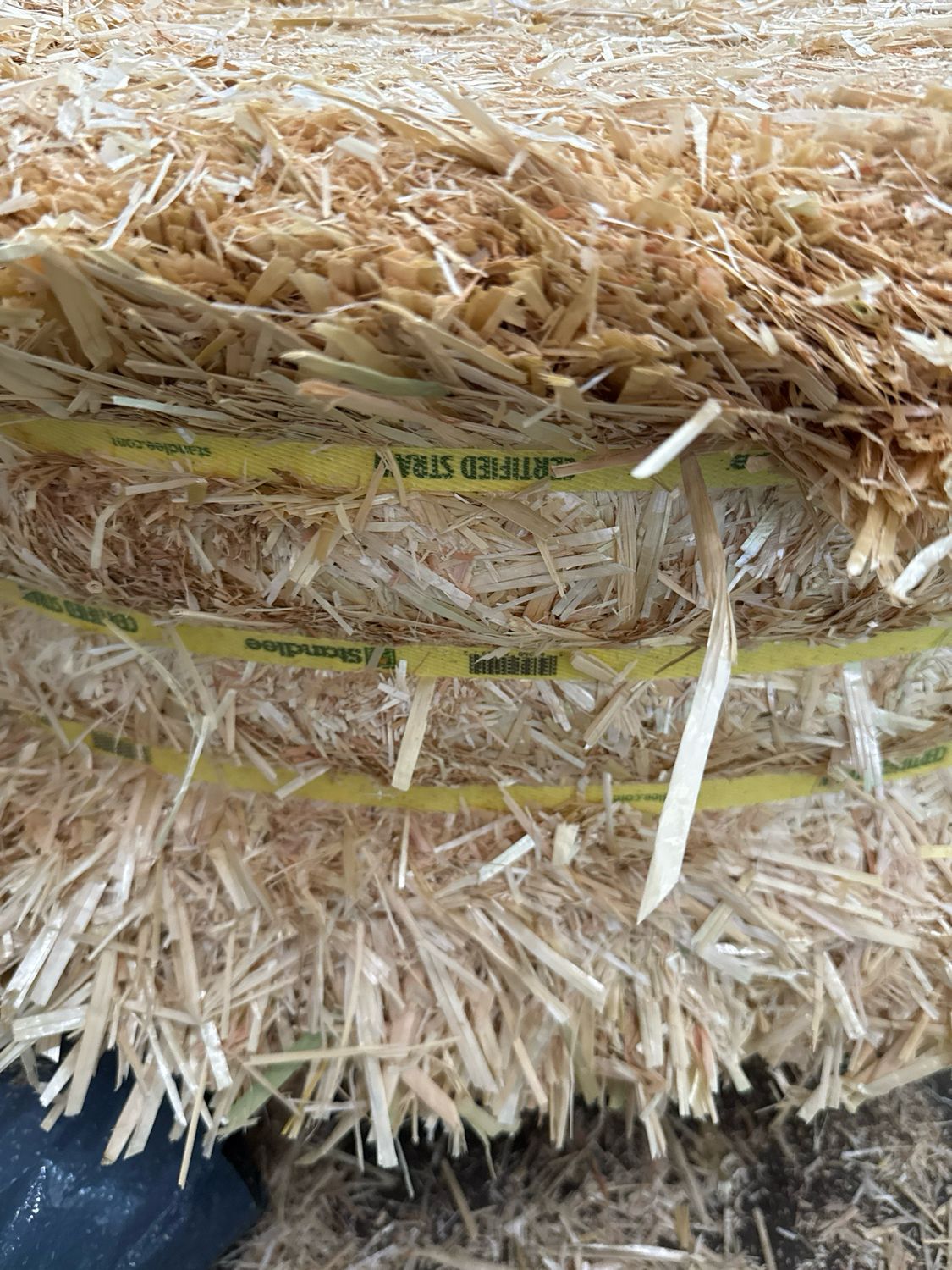 Standlee Compressed Straw Bale 50lb
