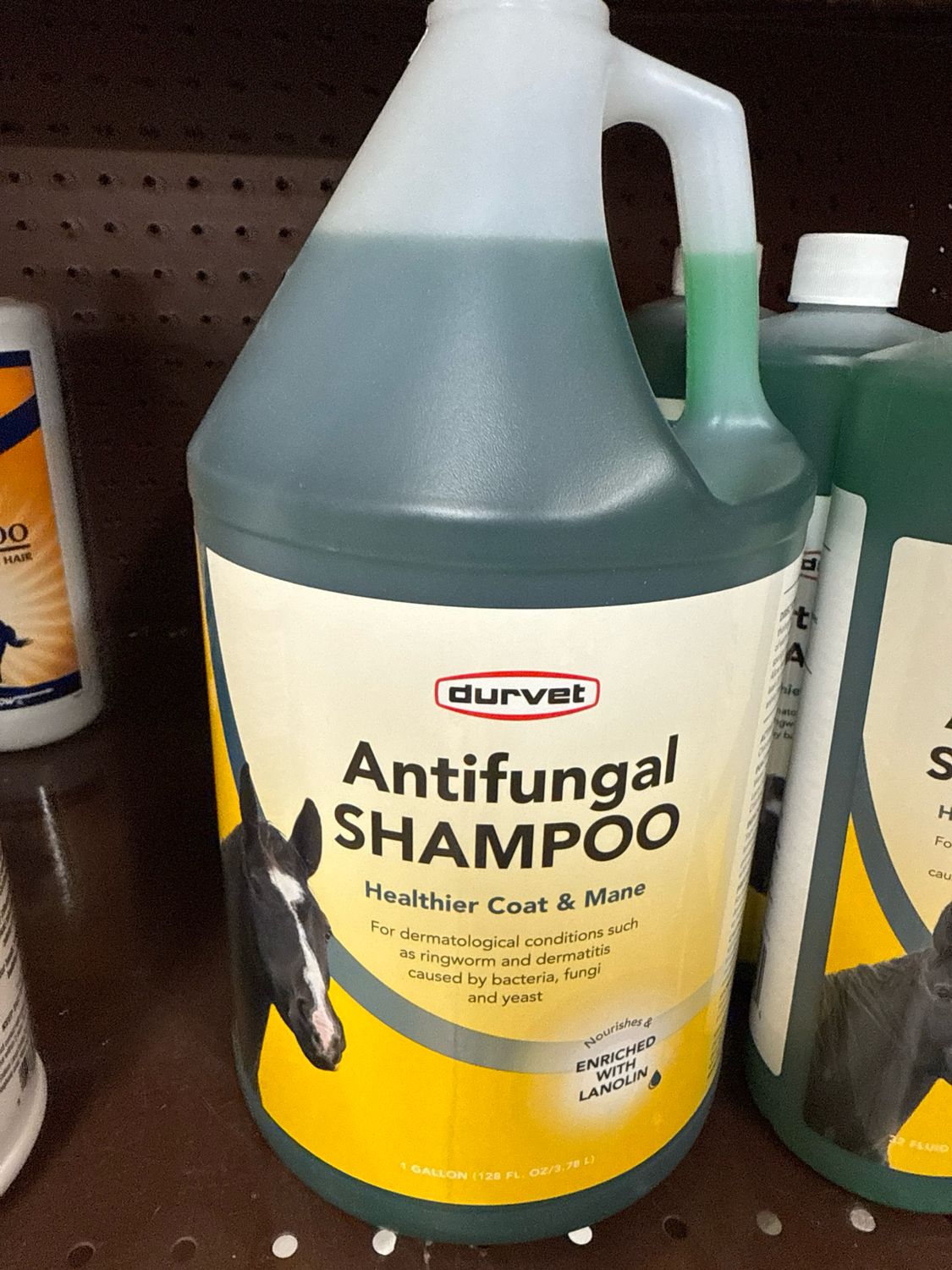 Durvet Antifungal Shampoo 1Gal 