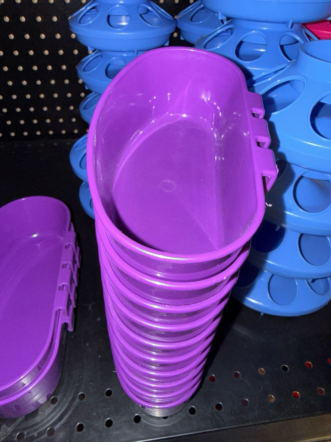 Cage Cup Plastic 16oz Purple 