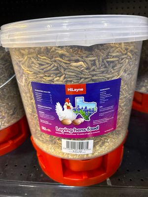 ZW Layer Hen Mix Bucket 