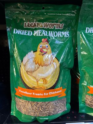 LuckyQ Mealworms 1lb