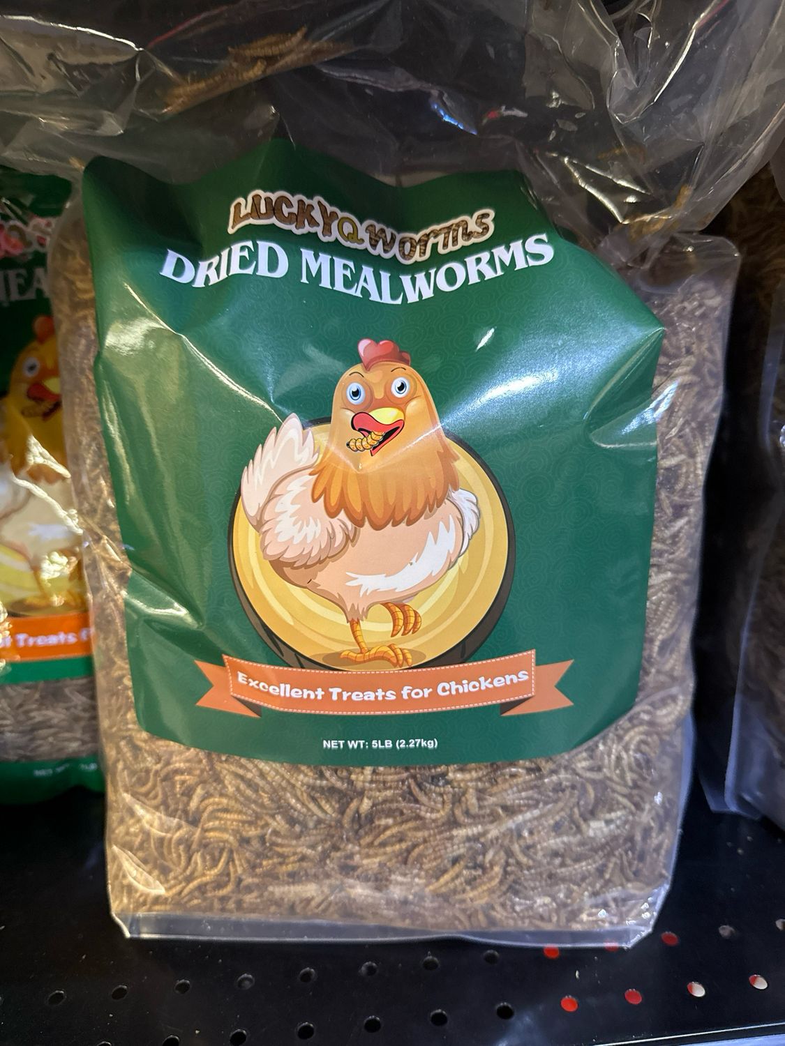 LuckyQ Mealworms 5lb