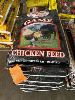 Big V Irving Black Rooster