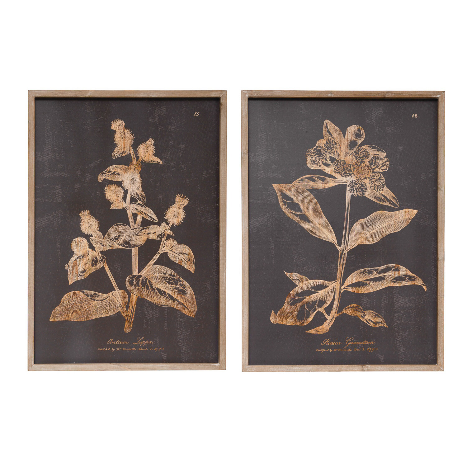 Wood Botanical Prints