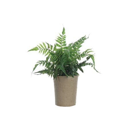 Faux Ferns in Paper Pots