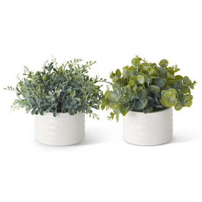 Asst. Eucalyptus in Ribbed White Ceramic Vases