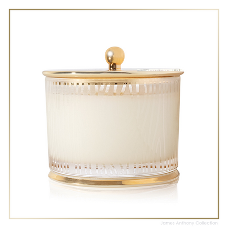 Thymes Frasier Fir Medium Poured Candle Frosted Wood Grain