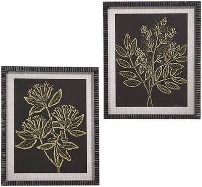 Black and White Botanical Framed Print