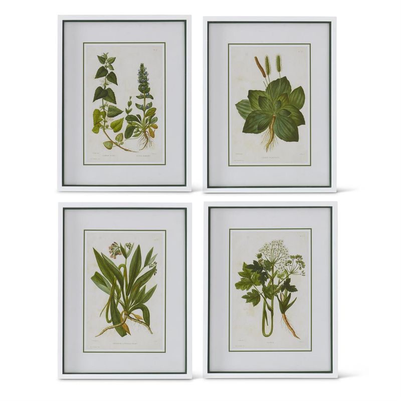 Asst 25.5 in white framed green flowering