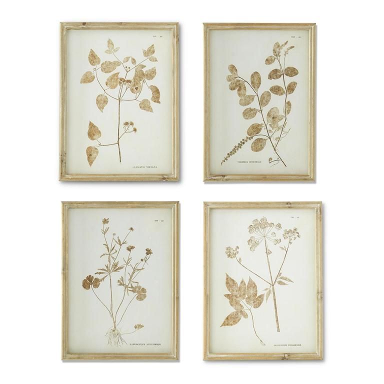 15.75 Inch Natural Wood Framed Brown & White Perrenial Prints