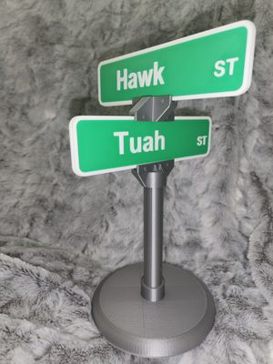 Hawk Tuah Street sign