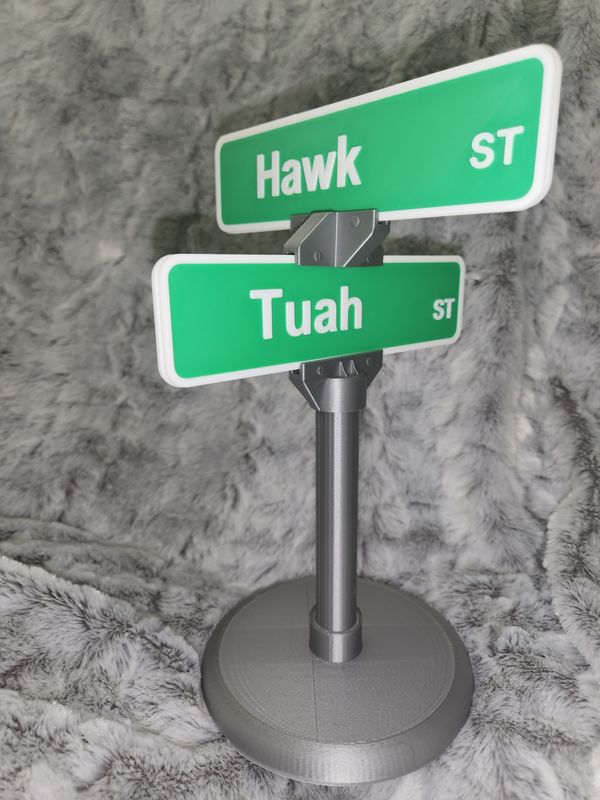 Hawk Tuah Street sign