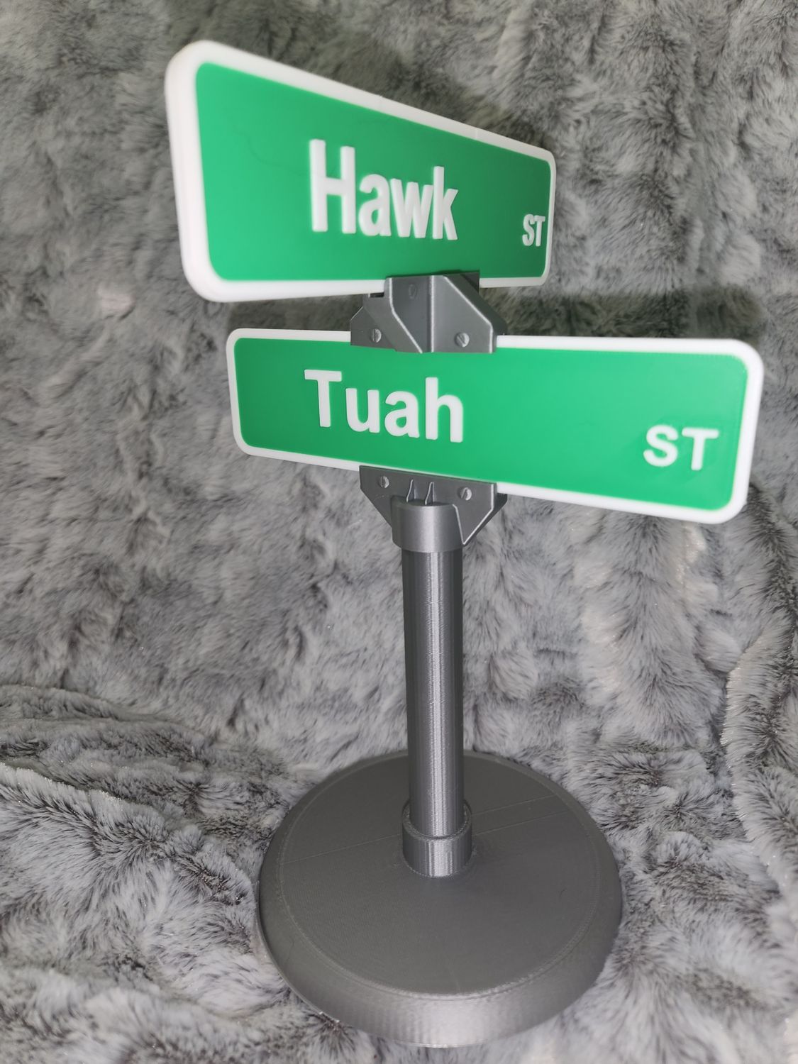 Hawk Tuah Street sign