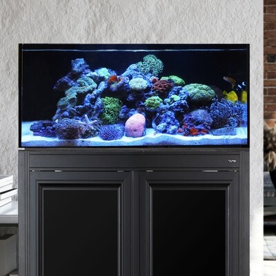 SR Aquariums