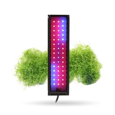 Refugium Lighting