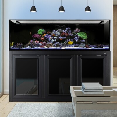 INT 200 Aquarium w/ APS Stand - Black INT 200 Aquarium w/ APS Stand - Black