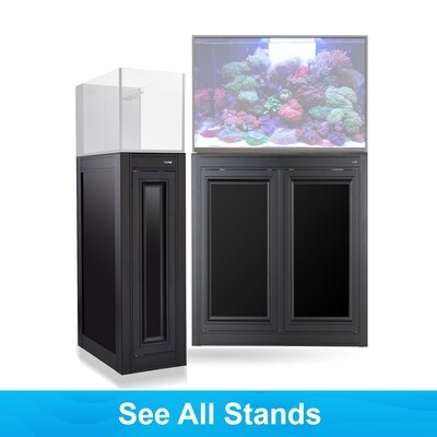 Aquarium Stands