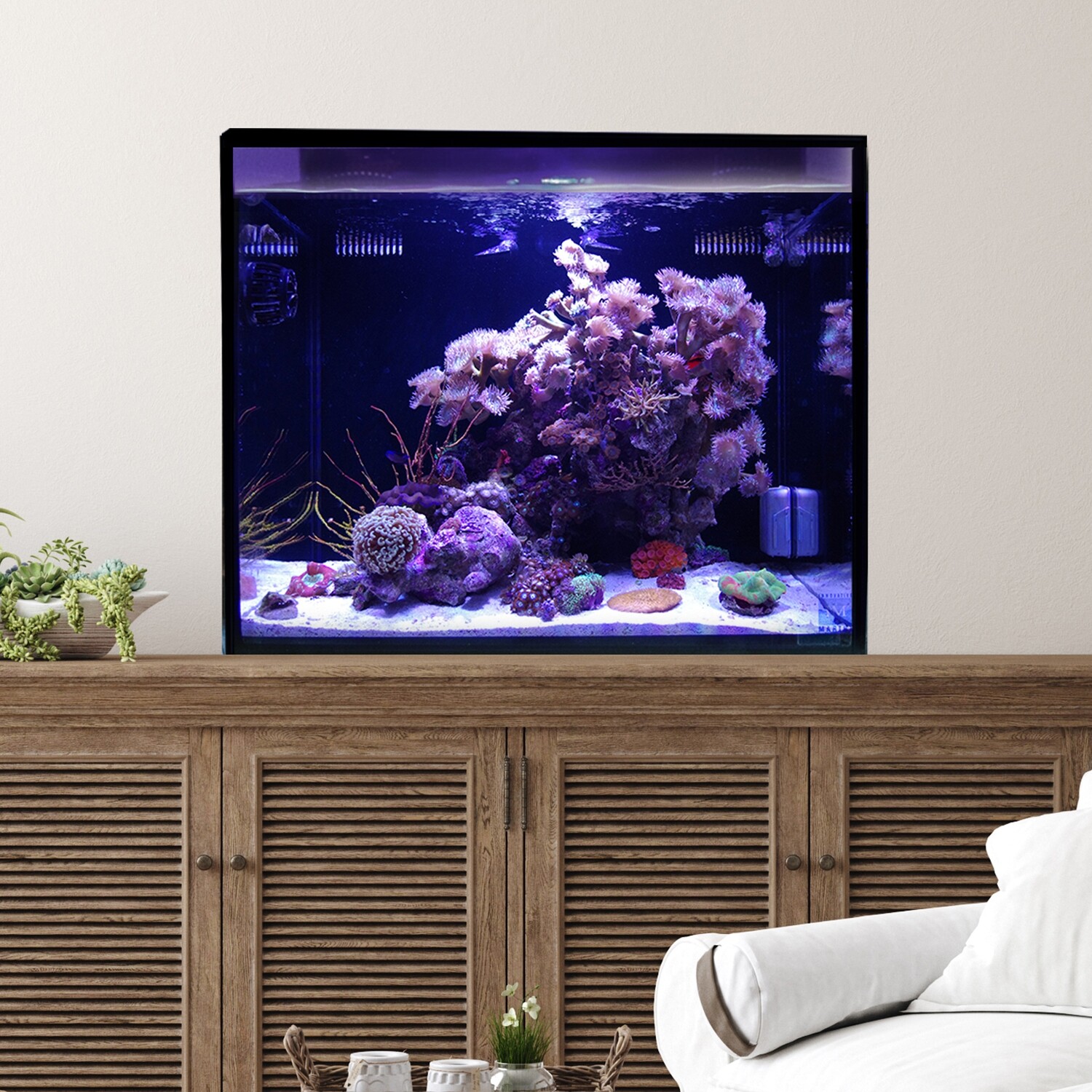 40 Gallon AIO All in One Nuvo Fusion Pro 2 Aquarium
