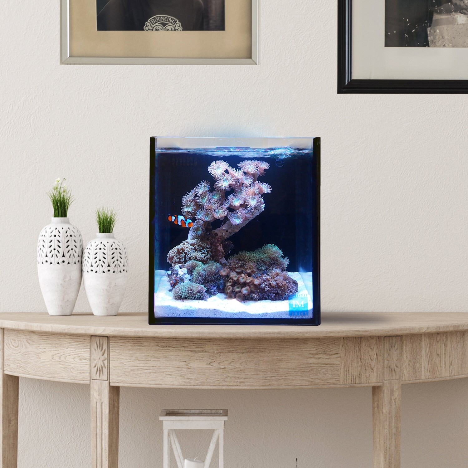 Fusion Pro 2 | 10 AIO Aquarium [Desktop]