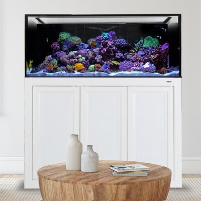 INT 170 Aquarium w/APS Stand - White INT 170 Aquarium w/APS Stand - White
