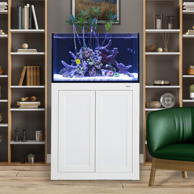 INT 50 Lagoon Aquarium w/ APS Stand - White INT 50 Lagoon Aquarium w/ APS Stand - White