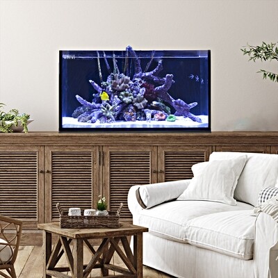 INT 50 Lagoon Aquarium Tank Only (Excludes APS Stand)