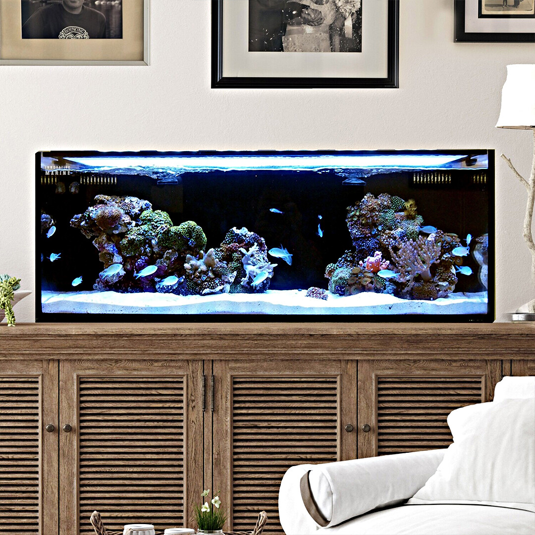 40 Gallon Long AIO Nuvo Fusion Pro 2 Aquarium 40-gallon-long-aio-nuvo-fusion-pro-2-aquarium