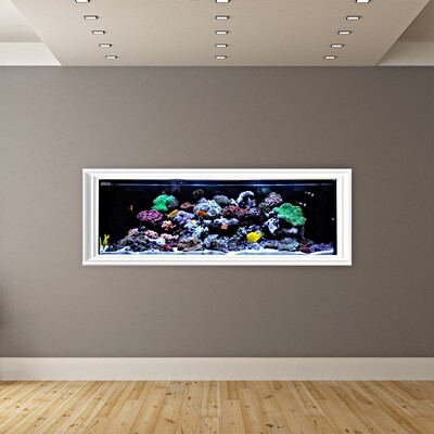 SR Pro 2 | 80 AIO Aquarium Tank Only (Excludes APS Stand) SR Pro 2 | 80 AIO Aquarium Tank Only (Excludes APS Stand)