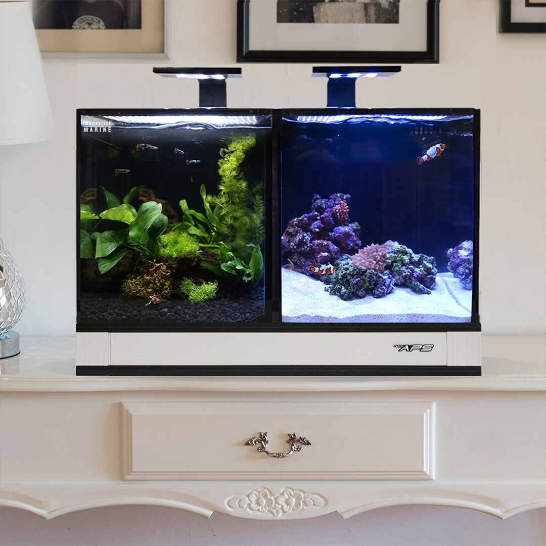 Concept Pro 2 | 20 AIO Encore Aquarium [Desktop] w/ APS Pedestal - White