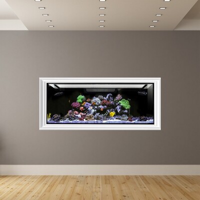 EXT 150 Lagoon Aquarium Tank Only (Excludes APS Stand) Made to Order EXT 150 Lagoon Aquarium Tank Only (Excludes APS Stand) Made to Order