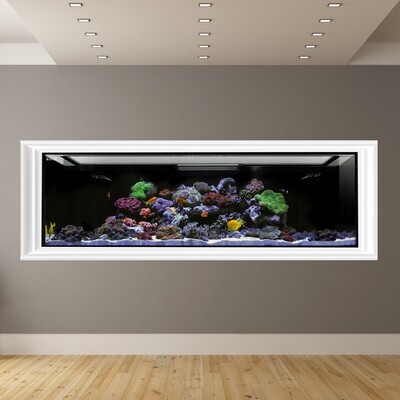 EXT 200 Aquarium Tank Only (Excludes APS Stand) Made to Order EXT 200 Aquarium Tank Only (Excludes APS Stand) Made to Order