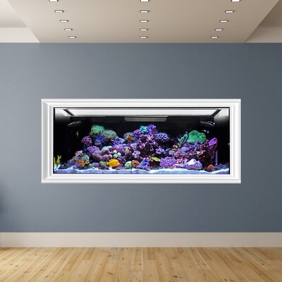 EXT 170 Aquarium Tank Only (Excludes APS Stand) Made to Order EXT 170 Aquarium Tank Only (Excludes APS Stand) Made to Order