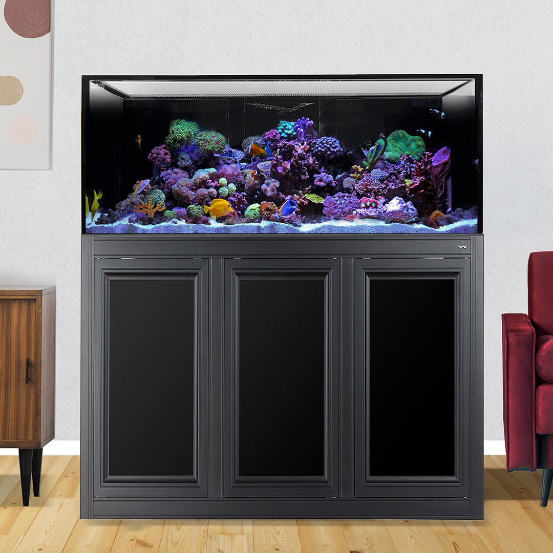 INT 150 Lagoon Aquarium w/ APS Stand - Black (Made to Order)