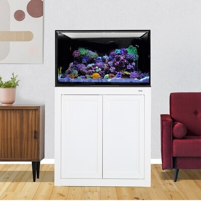 INT 112 Lagoon Aquarium w/ APS Stand - White (Made to Order) INT 112 Lagoon Aquarium w/ APS Stand - White (Made to Order)